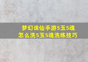 梦幻诛仙手游5玉5魂怎么洗5玉5魂洗练技巧