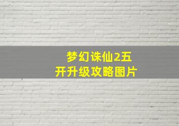 梦幻诛仙2五开升级攻略图片