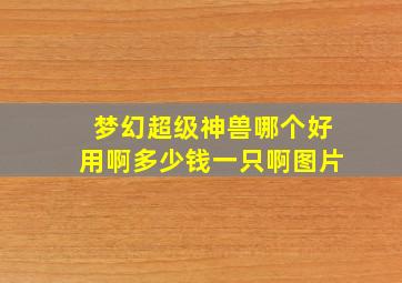 梦幻超级神兽哪个好用啊多少钱一只啊图片