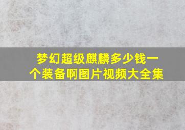 梦幻超级麒麟多少钱一个装备啊图片视频大全集