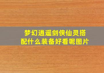 梦幻逍遥剑侠仙灵搭配什么装备好看呢图片