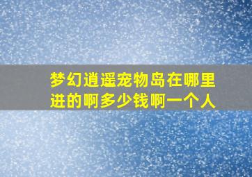 梦幻逍遥宠物岛在哪里进的啊多少钱啊一个人