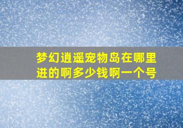 梦幻逍遥宠物岛在哪里进的啊多少钱啊一个号