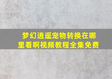 梦幻逍遥宠物转换在哪里看啊视频教程全集免费