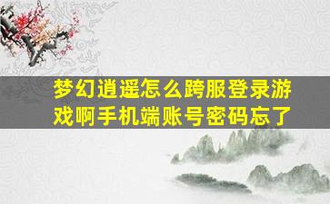 梦幻逍遥怎么跨服登录游戏啊手机端账号密码忘了