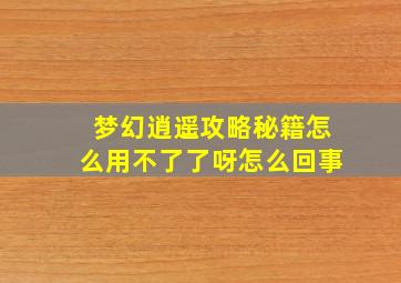 梦幻逍遥攻略秘籍怎么用不了了呀怎么回事