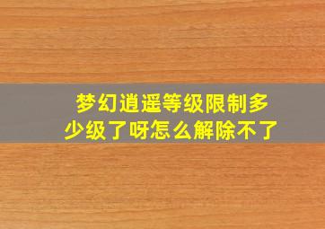 梦幻逍遥等级限制多少级了呀怎么解除不了