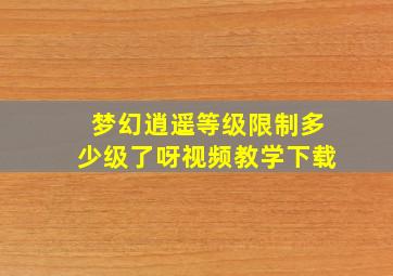 梦幻逍遥等级限制多少级了呀视频教学下载