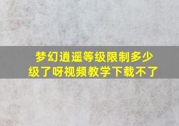 梦幻逍遥等级限制多少级了呀视频教学下载不了