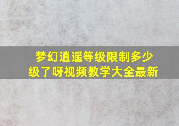 梦幻逍遥等级限制多少级了呀视频教学大全最新