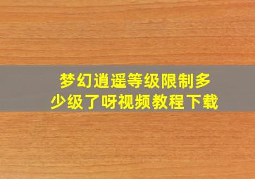 梦幻逍遥等级限制多少级了呀视频教程下载