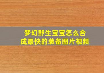 梦幻野生宝宝怎么合成最快的装备图片视频