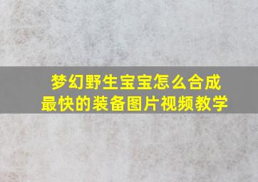 梦幻野生宝宝怎么合成最快的装备图片视频教学