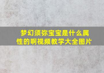 梦幻须弥宝宝是什么属性的啊视频教学大全图片