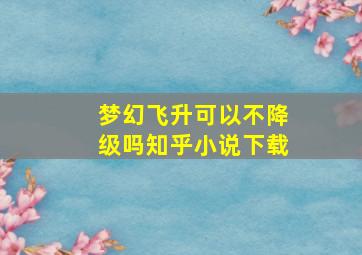 梦幻飞升可以不降级吗知乎小说下载