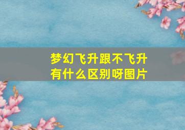 梦幻飞升跟不飞升有什么区别呀图片