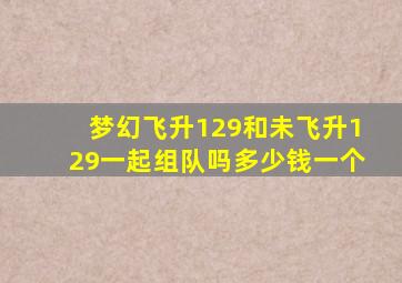 梦幻飞升129和未飞升129一起组队吗多少钱一个