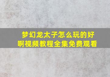 梦幻龙太子怎么玩的好啊视频教程全集免费观看