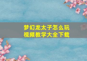 梦幻龙太子怎么玩视频教学大全下载