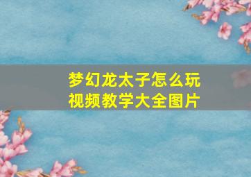 梦幻龙太子怎么玩视频教学大全图片