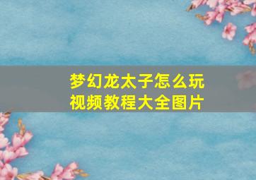 梦幻龙太子怎么玩视频教程大全图片