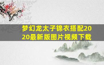 梦幻龙太子锦衣搭配2020最新版图片视频下载