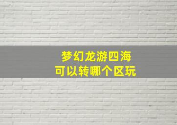 梦幻龙游四海可以转哪个区玩