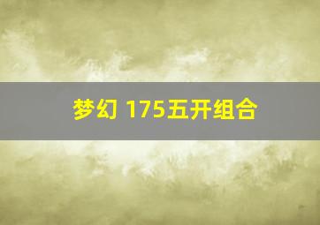 梦幻 175五开组合