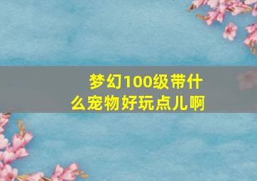 梦幻100级带什么宠物好玩点儿啊