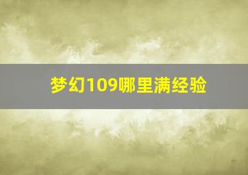 梦幻109哪里满经验