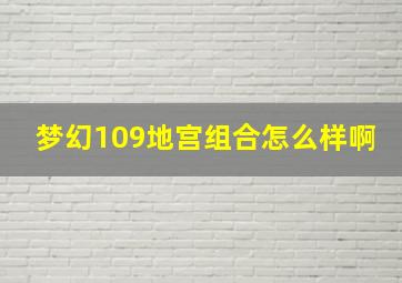 梦幻109地宫组合怎么样啊