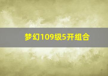 梦幻109级5开组合