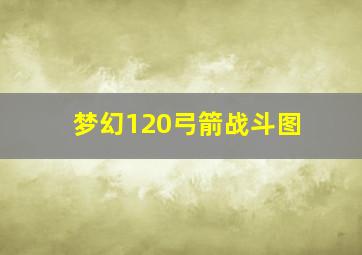 梦幻120弓箭战斗图