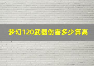 梦幻120武器伤害多少算高