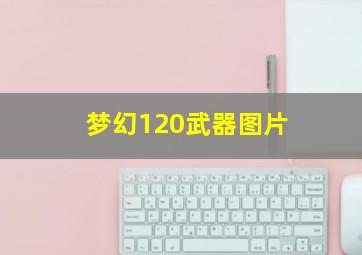 梦幻120武器图片