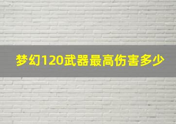 梦幻120武器最高伤害多少