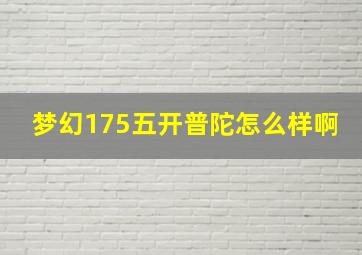 梦幻175五开普陀怎么样啊