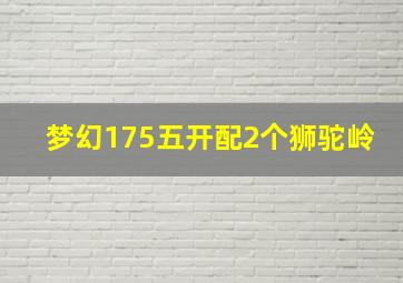 梦幻175五开配2个狮驼岭