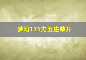 梦幻175力五庄单开