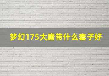 梦幻175大唐带什么套子好