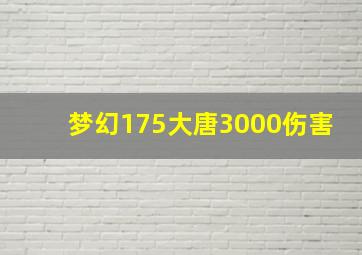 梦幻175大唐3000伤害