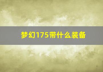 梦幻175带什么装备