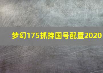 梦幻175抓持国号配置2020