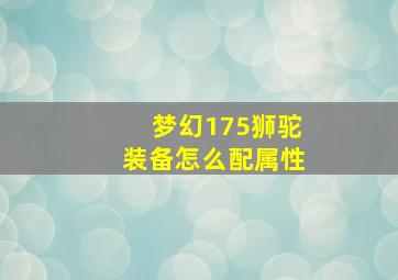 梦幻175狮驼装备怎么配属性