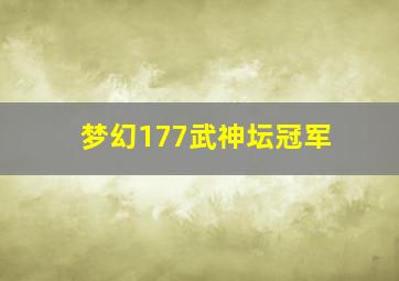 梦幻177武神坛冠军