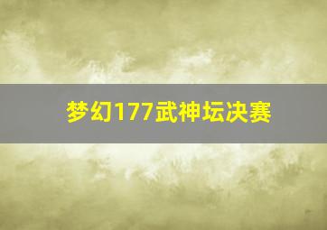 梦幻177武神坛决赛
