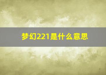 梦幻221是什么意思