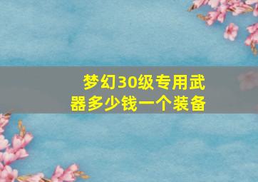 梦幻30级专用武器多少钱一个装备