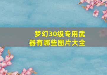 梦幻30级专用武器有哪些图片大全