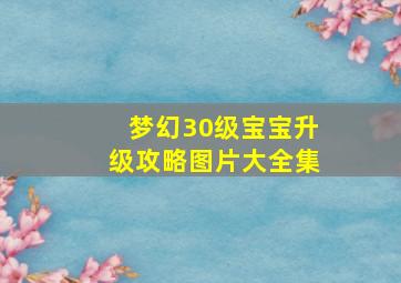 梦幻30级宝宝升级攻略图片大全集